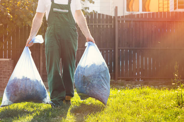 Best Office Junk Removal  in Davis Junction, IL