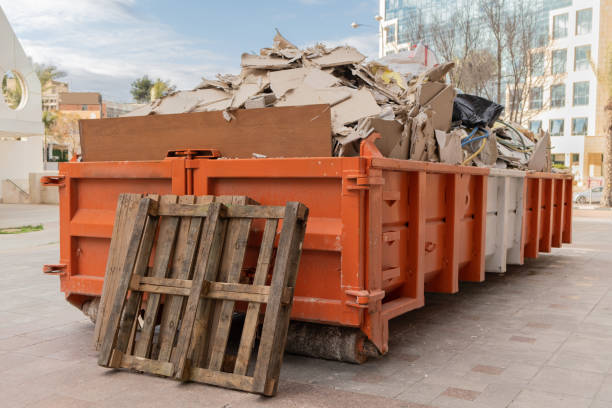 Debris Removal in Davis Junction, IL