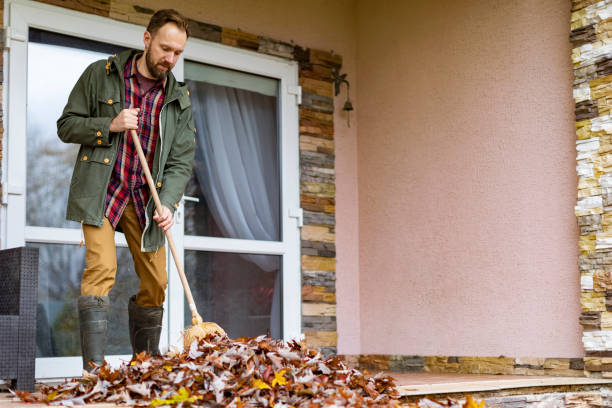 Best Electronics Removal Services  in Davis Junction, IL